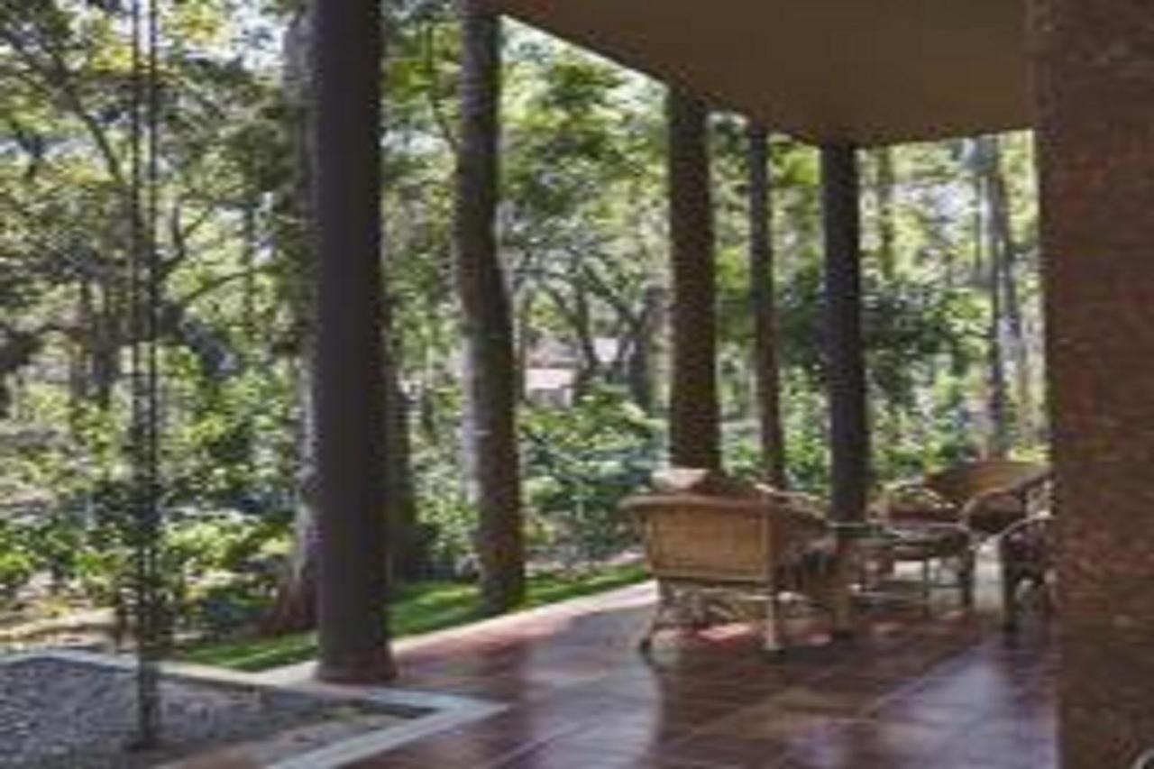 The Birchwood Retreat, Madikeri Hotel Bagian luar foto